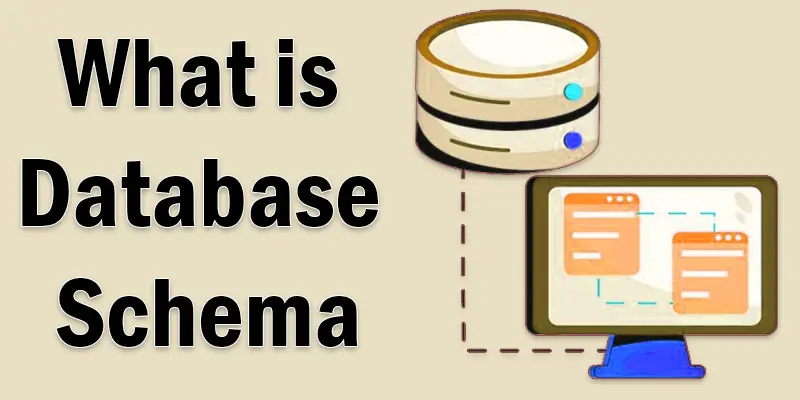database and schema
